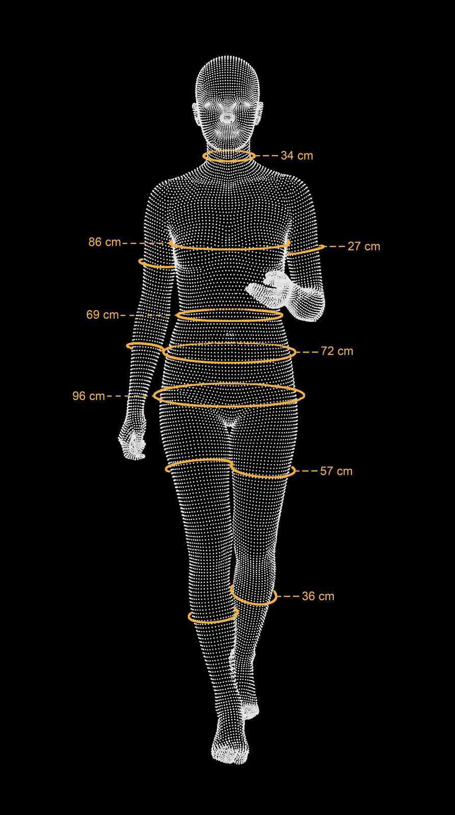 Body landmarks and measurement lines, 3D point cloud with extracted measurements